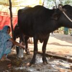 WhatsApp Image 2026-01-29 at 14.03.12