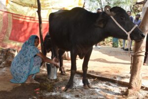 WhatsApp Image 2026-01-29 at 14.03.12