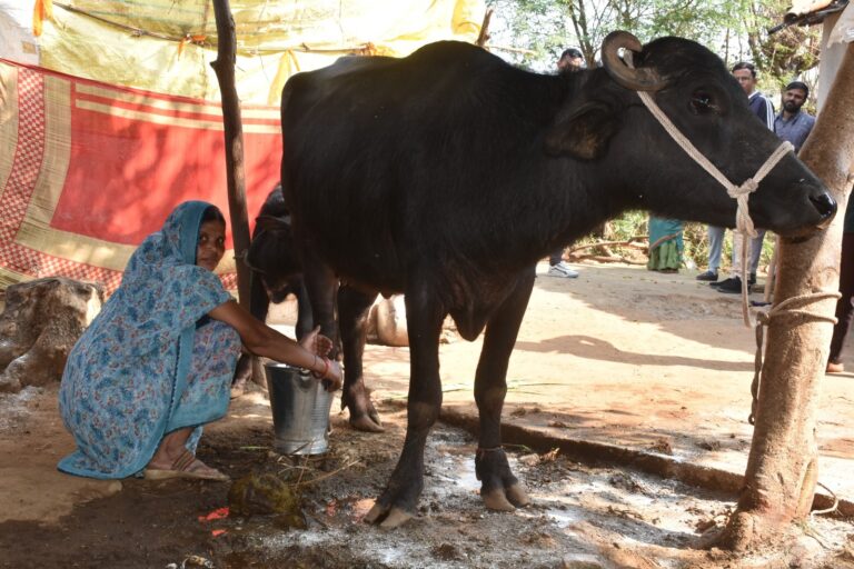 WhatsApp Image 2026-01-29 at 14.03.12